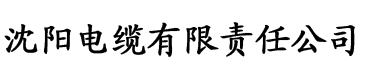 小丹秋芬大结局电缆厂logo